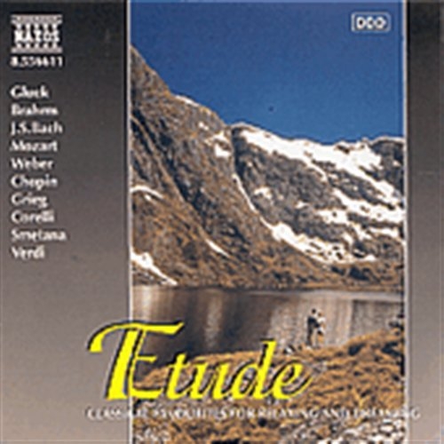 Various - Etude i gruppen CD / Toppsäljare hos Bengans Skivbutik AB (2010809)