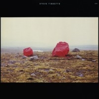 Tibbetts Steve - Exploded View i gruppen CD / Jazz hos Bengans Skivbutik AB (2012836)