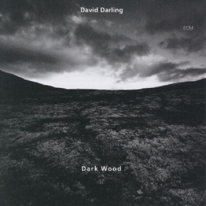 Darling David - Dark Wood i gruppen CD / Jazz/Blues hos Bengans Skivbutik AB (2012861)