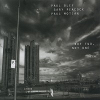 Bley Paul - Not Two, Not One i gruppen CD / Jazz hos Bengans Skivbutik AB (2012886)