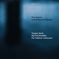 Seim Trygve - The Source And Different Cikadas i gruppen CD / Jazz hos Bengans Skivbutik AB (2012907)