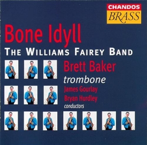 Various - Bone Idyll/Williams Fairey i gruppen Externt_Lager / Naxoslager hos Bengans Skivbutik AB (2013059)