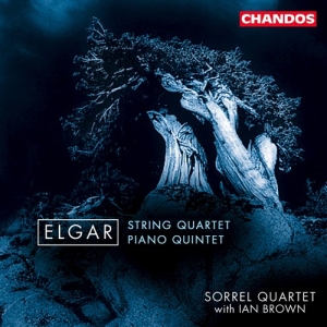 Elgar - String Quartet And Piano Quint i gruppen Externt_Lager / Naxoslager hos Bengans Skivbutik AB (2013368)