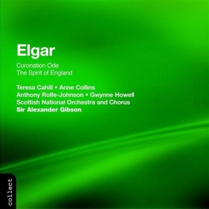 Elgar - Anne Collinsanthony Rolfe John i gruppen Externt_Lager / Naxoslager hos Bengans Skivbutik AB (2013588)