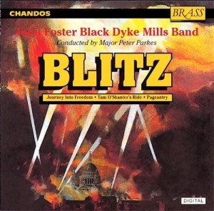 Various - Blitz i gruppen Externt_Lager / Naxoslager hos Bengans Skivbutik AB (2013792)