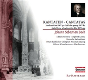 Bach - Cantatas i gruppen Externt_Lager / Naxoslager hos Bengans Skivbutik AB (2014215)