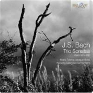 Bach - Trio Sonatas i gruppen CD / Klassiskt hos Bengans Skivbutik AB (2016186)