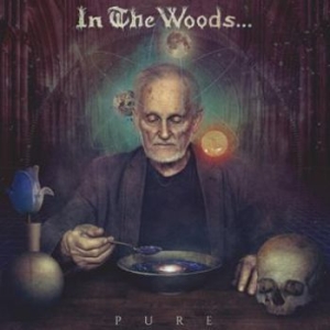 In The Woods - Pure i gruppen CD / Hårdrock/ Heavy metal hos Bengans Skivbutik AB (2032066)