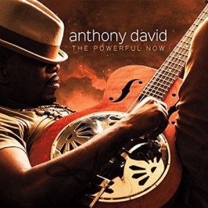 Anthony David - Powerful Now i gruppen CD / RNB, Disco & Soul hos Bengans Skivbutik AB (2032428)