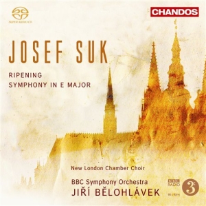 Suk - Orchestral Works i gruppen MUSIK / SACD / Klassiskt hos Bengans Skivbutik AB (2035440)