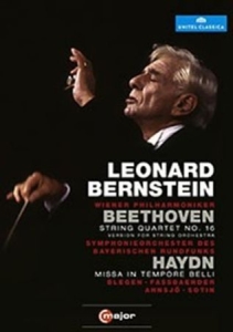 Bernstein - Conducts Beethoven / Haydn i gruppen Externt_Lager / Naxoslager hos Bengans Skivbutik AB (2035476)
