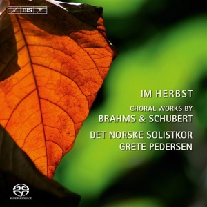 Brahms / Schubert - Im Herbst i gruppen MUSIK / SACD / Klassiskt hos Bengans Skivbutik AB (2035875)