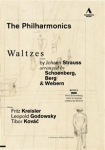 Johann Strauss - Waltzes i gruppen Externt_Lager / Naxoslager hos Bengans Skivbutik AB (2035908)