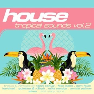Blandade Artister - HouseTropical Sounds Vol.2 i gruppen CD / Dans/Techno hos Bengans Skivbutik AB (2040040)