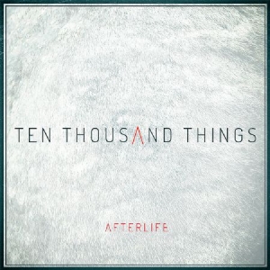 Afterlife - Ten Thousand Things i gruppen CD / Pop hos Bengans Skivbutik AB (2040084)