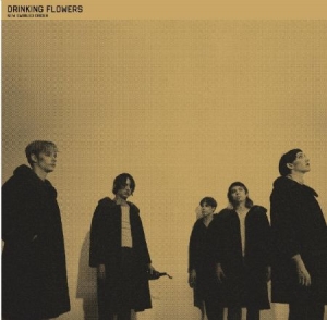 Drinking Flowers - New Swirled Order i gruppen CD / Pop hos Bengans Skivbutik AB (2042465)