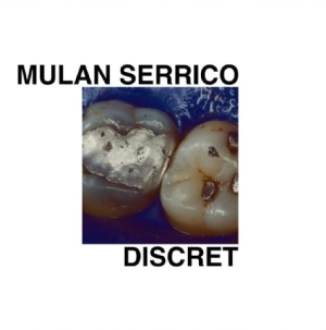 Serrico Mulan - Discret i gruppen VINYL / Rock hos Bengans Skivbutik AB (2042577)