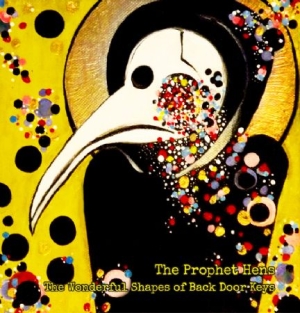Prophet Hens - Wonderful Shapes Of Back Door Keys i gruppen CD / Rock hos Bengans Skivbutik AB (2042642)