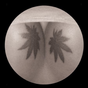 Albert J. - Small Room E.P. i gruppen VINYL / Pop hos Bengans Skivbutik AB (2060656)