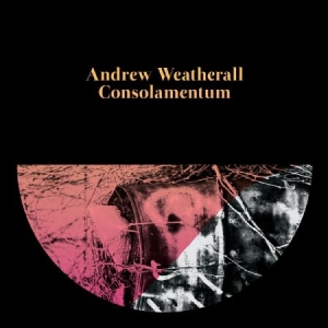 Weatherall Andrew - Consolamentum i gruppen CD / Dans/Techno hos Bengans Skivbutik AB (2060763)