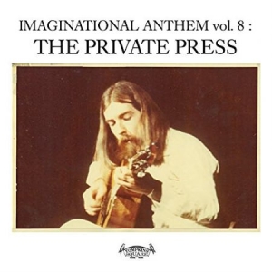 Blandade Artister - Imaginational Anthem 8Private Pres i gruppen VINYL / Pop hos Bengans Skivbutik AB (2060787)