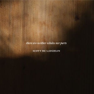Mc Laughlin Scott - There Are Neither Wholes Nor Parts i gruppen CD / Pop hos Bengans Skivbutik AB (2060812)