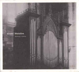 Marhaug / Asheim - Grand Mutation i gruppen CD / Pop hos Bengans Skivbutik AB (2060942)