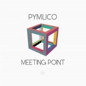 Pymlico - Meeting Point i gruppen VI TIPSAR / Lagerrea / CD REA / CD POP hos Bengans Skivbutik AB (2061061)