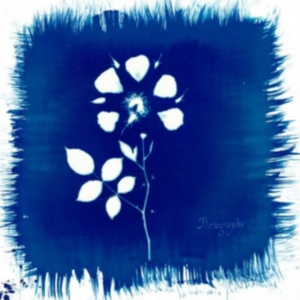 Painted Zeros - Floriography i gruppen CD / Pop-Rock hos Bengans Skivbutik AB (2062536)