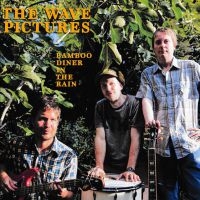 Wave Pictures - Bamboo Diner In The Rain i gruppen CD / Pop-Rock hos Bengans Skivbutik AB (2069261)