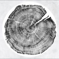 Montgomery Roy - M: Darkmotif Dancehall i gruppen VINYL / Pop-Rock hos Bengans Skivbutik AB (2069887)