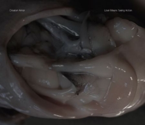 Croatian Amor - Love Means Taking Action i gruppen CD / Rock hos Bengans Skivbutik AB (2069977)