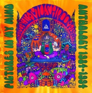 Magic Mushroom Band - Pictures In My Mind: Anthology 1984 i gruppen CD / Rock hos Bengans Skivbutik AB (2070808)