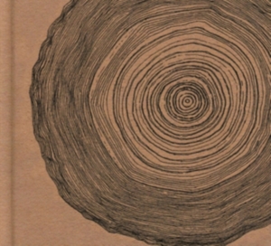 Ó - Year Of The Rabbit (Deluxe Cd i gruppen CD / Nyheter / Rock hos Bengans Skivbutik AB (2071565)