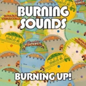 Blandade Artister - Burning Up! (4 Cd) i gruppen CD / Reggae hos Bengans Skivbutik AB (2072460)