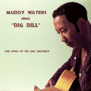 Waters Muddy - Sings Big Bill i gruppen CD / Jazz/Blues hos Bengans Skivbutik AB (2074006)