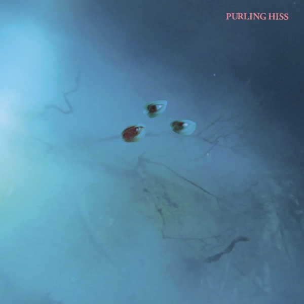 Purling Hiss - High Bias i gruppen VINYL / Toppsäljare hos Bengans Skivbutik AB (2084209)
