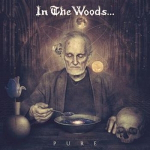 In The Woods - Pure (2 Lp) + Insert And Download C i gruppen VINYL / Hårdrock/ Heavy metal hos Bengans Skivbutik AB (2097762)