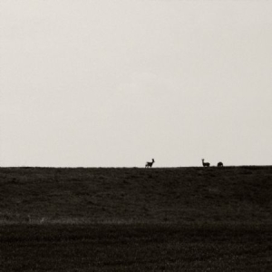 Aldinucci Giulio - Goccia i gruppen CD / Rock hos Bengans Skivbutik AB (2098367)