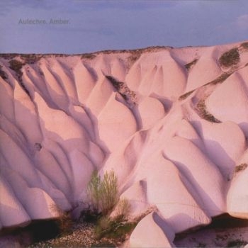 Autechre - Amber i gruppen VINYL / Toppsäljare hos Bengans Skivbutik AB (2098396)