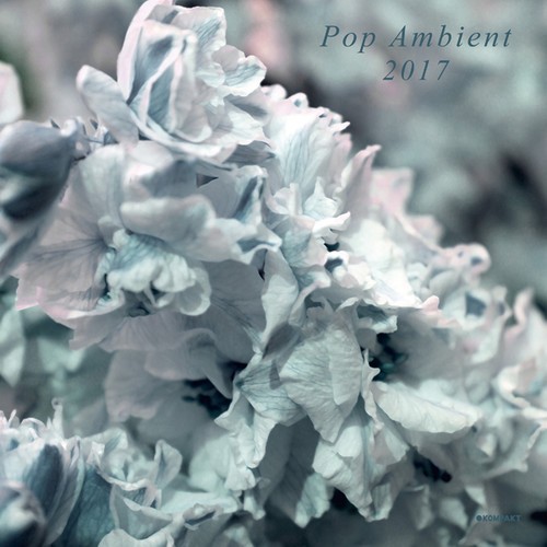 Blandade Artister - Pop Ambient 2017 i gruppen VINYL / Pop hos Bengans Skivbutik AB (2098411)
