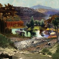 Tingsek - Amygdala i gruppen CD / RNB, Disco & Soul hos Bengans Skivbutik AB (2098915)