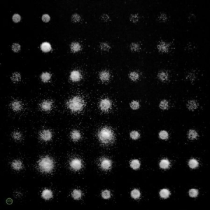 Rayon - A Beat Of Silence i gruppen VINYL / Rock hos Bengans Skivbutik AB (2099350)