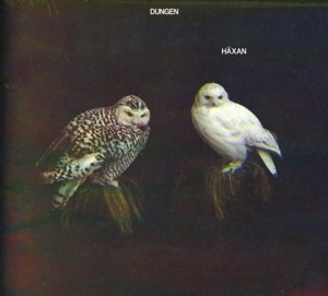 Dungen - Häxan i gruppen CD / Pop-Rock hos Bengans Skivbutik AB (2101159)