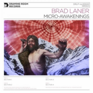 Laner Brad - Micro-Awakenings i gruppen VINYL / Pop-Rock hos Bengans Skivbutik AB (2101944)