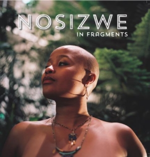 Nosizwe - In Fragments in the group VINYL / RNB, Disco & Soul at Bengans Skivbutik AB (2113478)