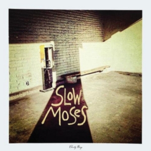 Slow Moses - Charity Binge (Blue Vinyl) i gruppen VINYL / Pop-Rock hos Bengans Skivbutik AB (2116228)