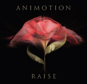 Animotion - Raise Your Expectations i gruppen VINYL / Pop hos Bengans Skivbutik AB (2168075)