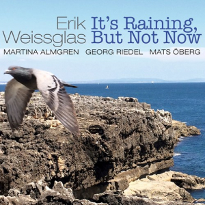 Weissglas Erik - It's Raining, But Not Now i gruppen Externt_Lager / Naxoslager hos Bengans Skivbutik AB (2170709)