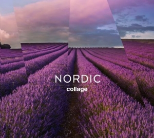 Nordic - Collage i gruppen CD / World Music hos Bengans Skivbutik AB (2196371)
